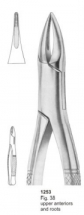  Fig. 38 upper anteriors and roots 